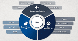 The Role of Fine-Tuning in Maximizing LLM Potential 